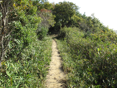 20131116hike (224)